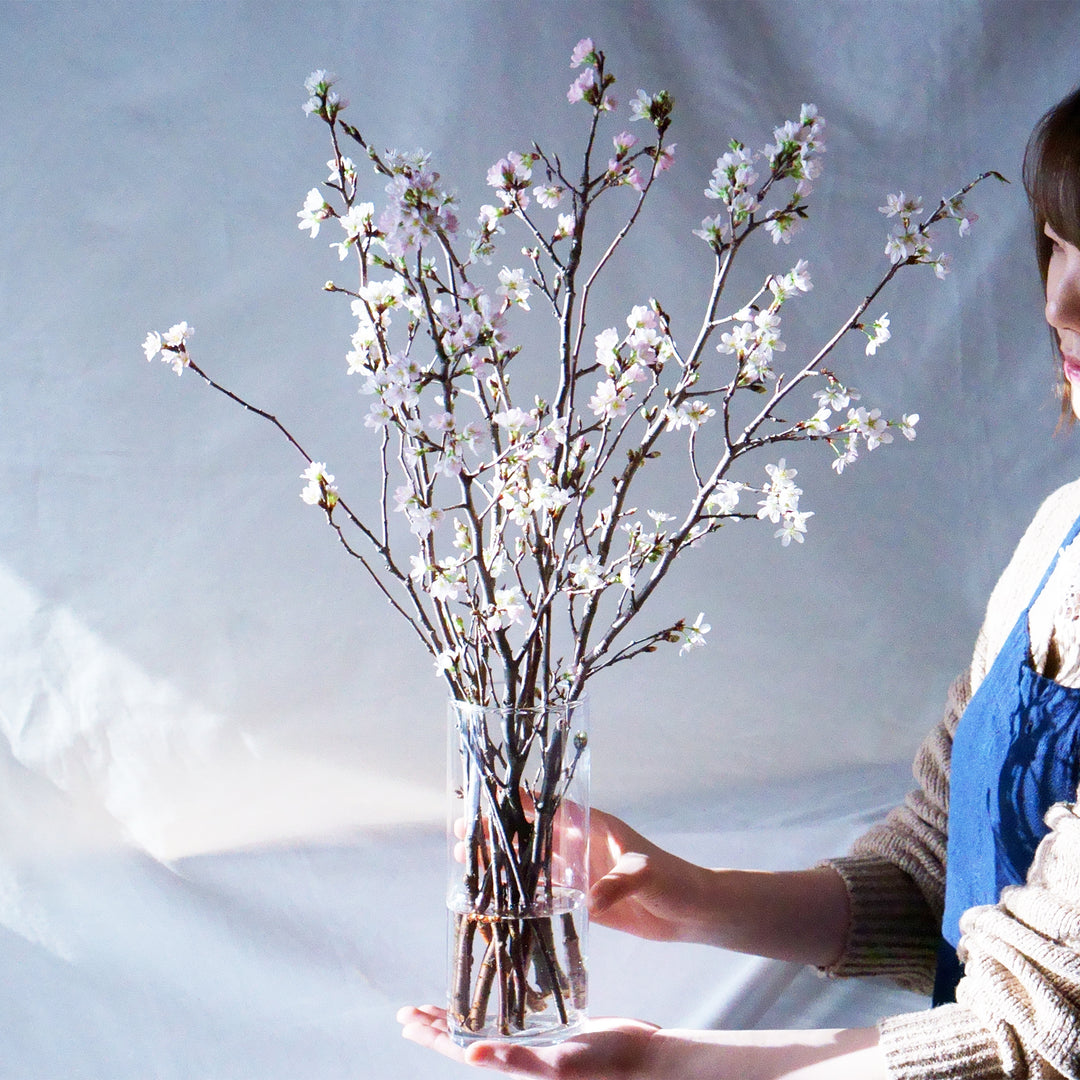 石木花 啓翁桜（ガラス花瓶セット） お部屋で楽しむ、早春の桜。 – By