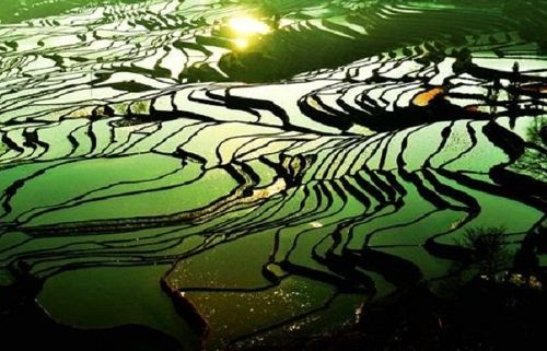 大地の彫刻―奇跡の元陽棚田♪』雲南省(中国)の旅行記・ブログ by ゆり