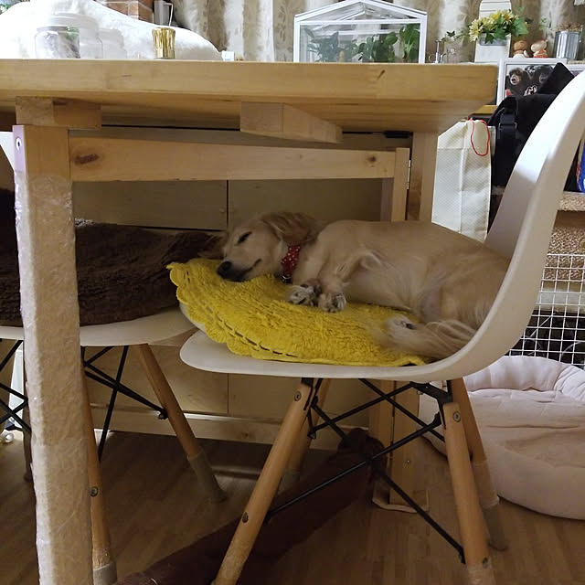 IKEA/イケア/通販]NORDEN ノールデン ゲートレッグテーブル, バーチ[FF