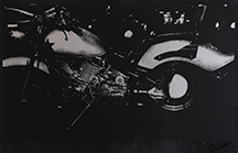 森山大道 Daido Moriyama Untitled | ONLINE STORE | Walls Tokyo