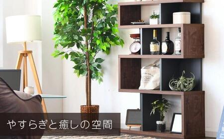 ラック 本棚 シェルフ オープン 収納 ディスプレイラック ブラウン