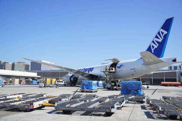 ANA大型貨物機「777F」の“愛称”のナゾ 名付け親が初告白！ “青い鳥