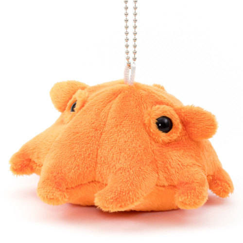 深海生物 マスコット メンダコ│動物 カロラータ オンラインショップ