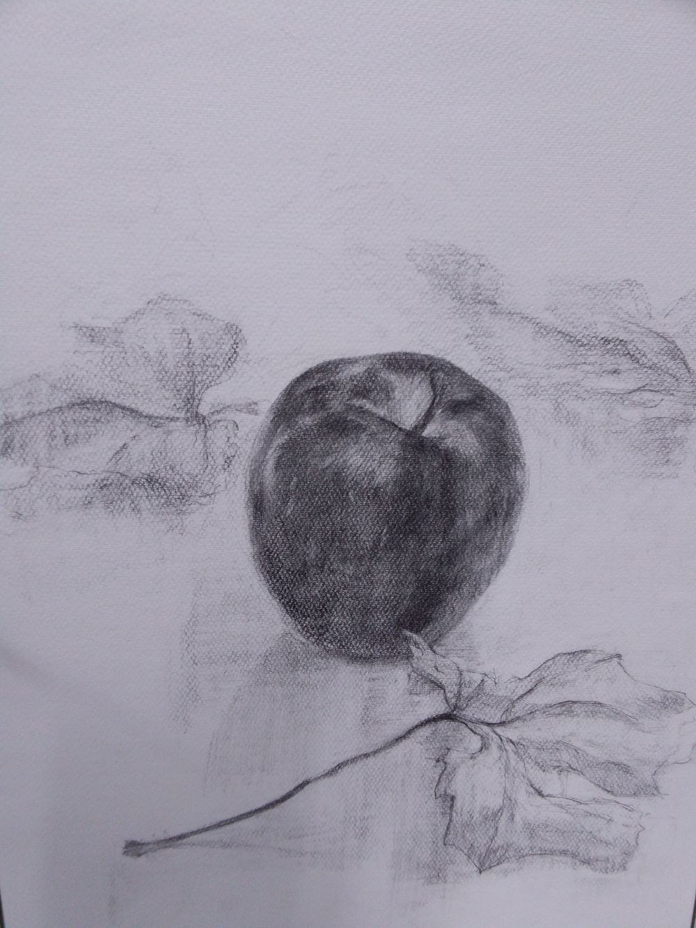 観察力や表現力を高める 基礎からの鉛筆デッサン｜吉祥寺産経学園