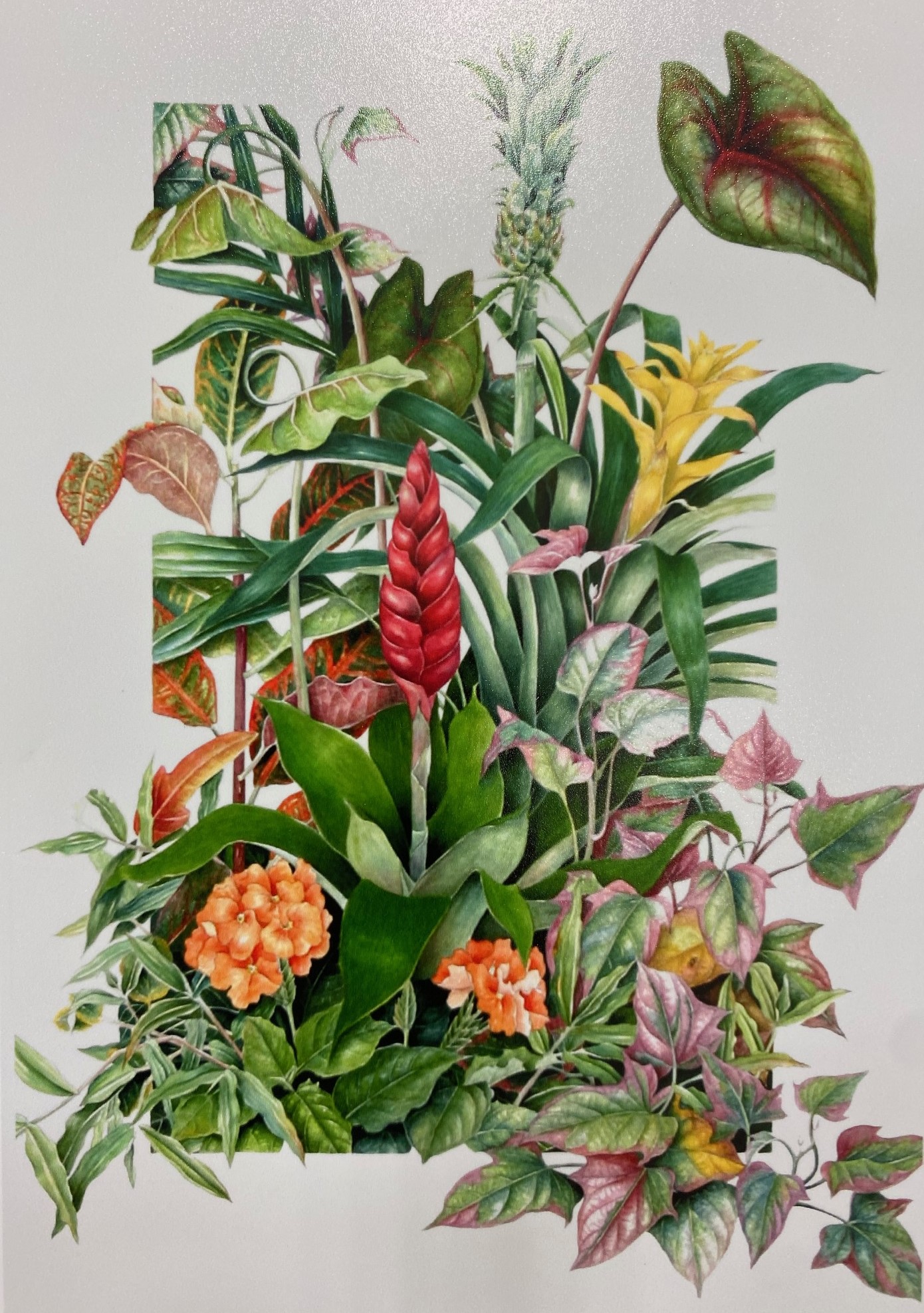 植物画 ボタニカルアート｜上里カルチャーセンター｜ウニクス上里