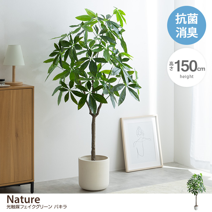 g162013]【高さ150cm】Nature 光触媒人工観葉植物 パキラ 観葉植物