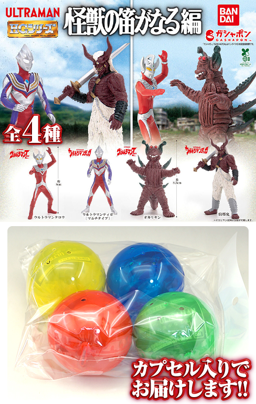 ガチャガチャ通販の「ガチャガチャ王国」|商品詳細 【ガチャ】 HG