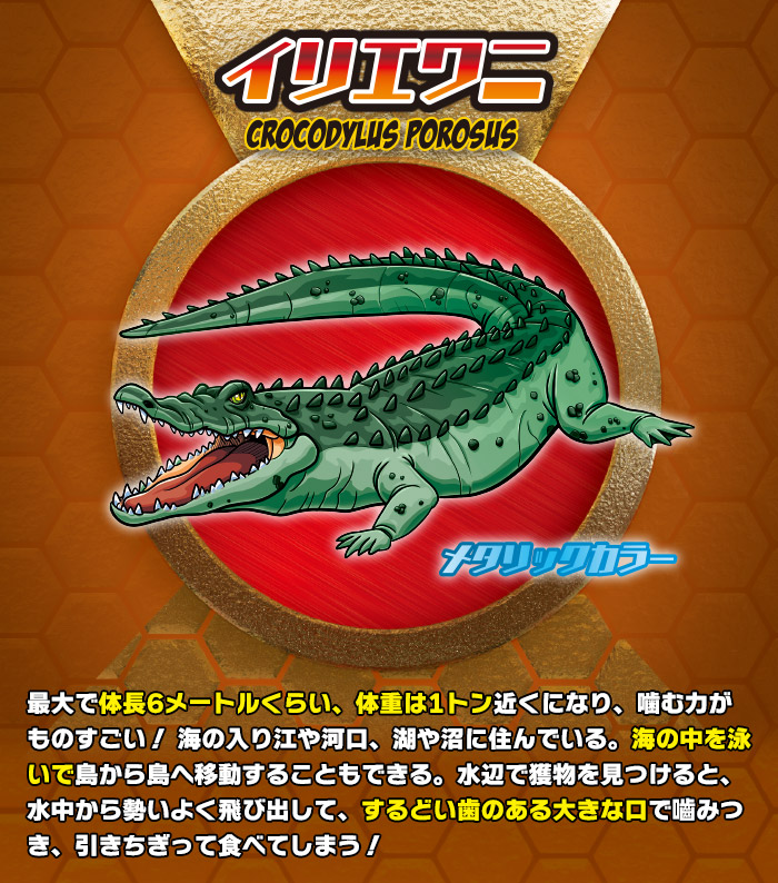 スーパーアニマル＆Co. (アンドコ) | デアゴスティーニ公式