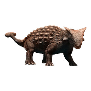 アンキロサウルス (Ankylosaurus) | 恐竜大百科