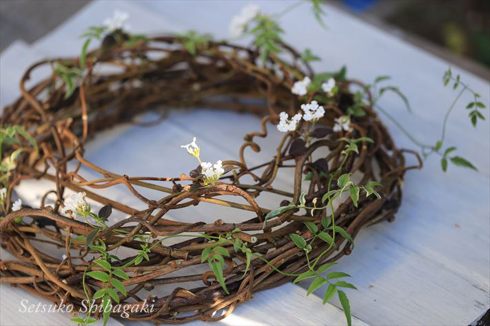 キウイのツルで 素敵なリース作り柴垣節子blog☆どらみあん