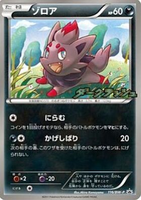 ゾロア(021/BW-P) | プロモ | ドラゴンスター | ポケモンカード