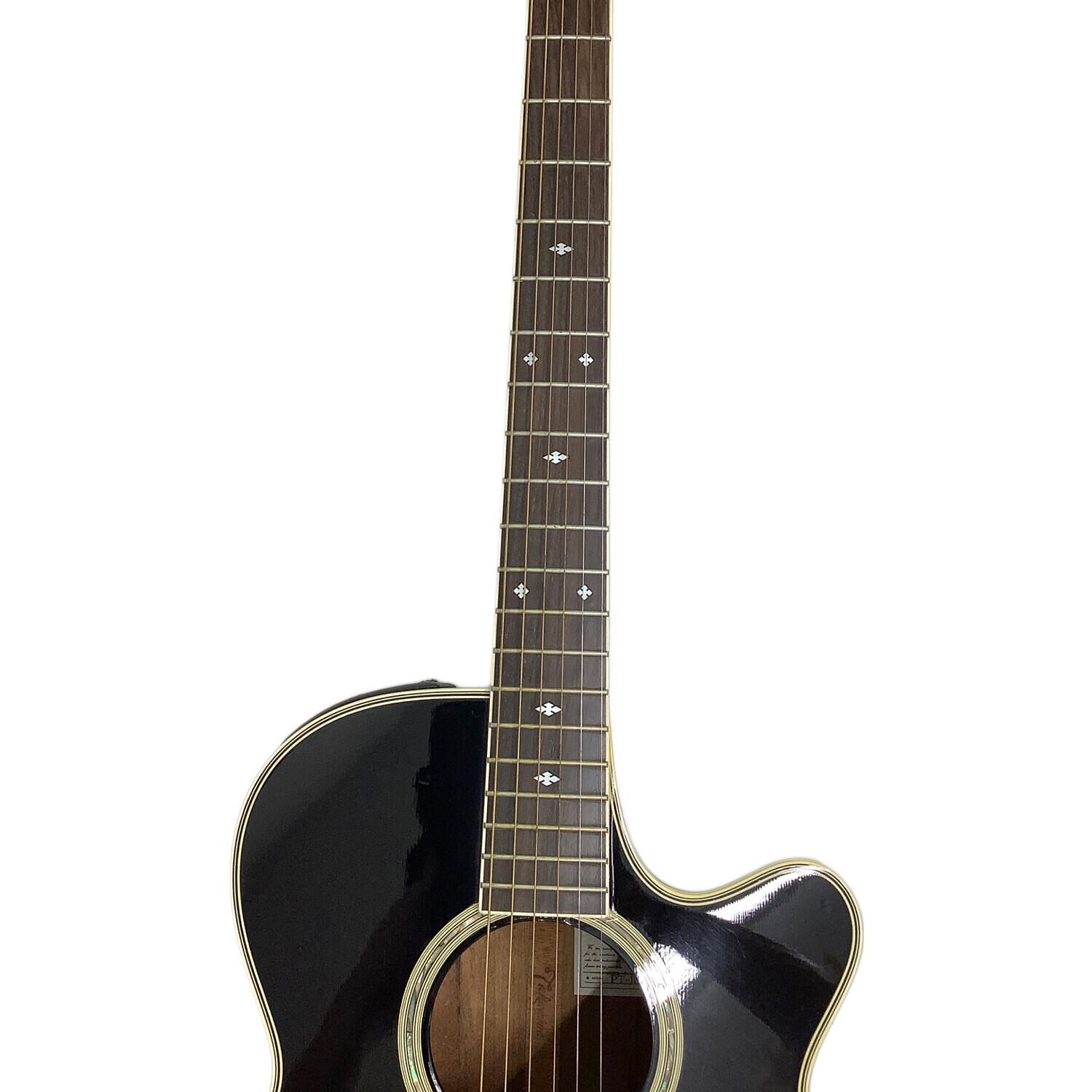 Takamine (タカミネ) エレアコギター @ PT-108 動作確認済み