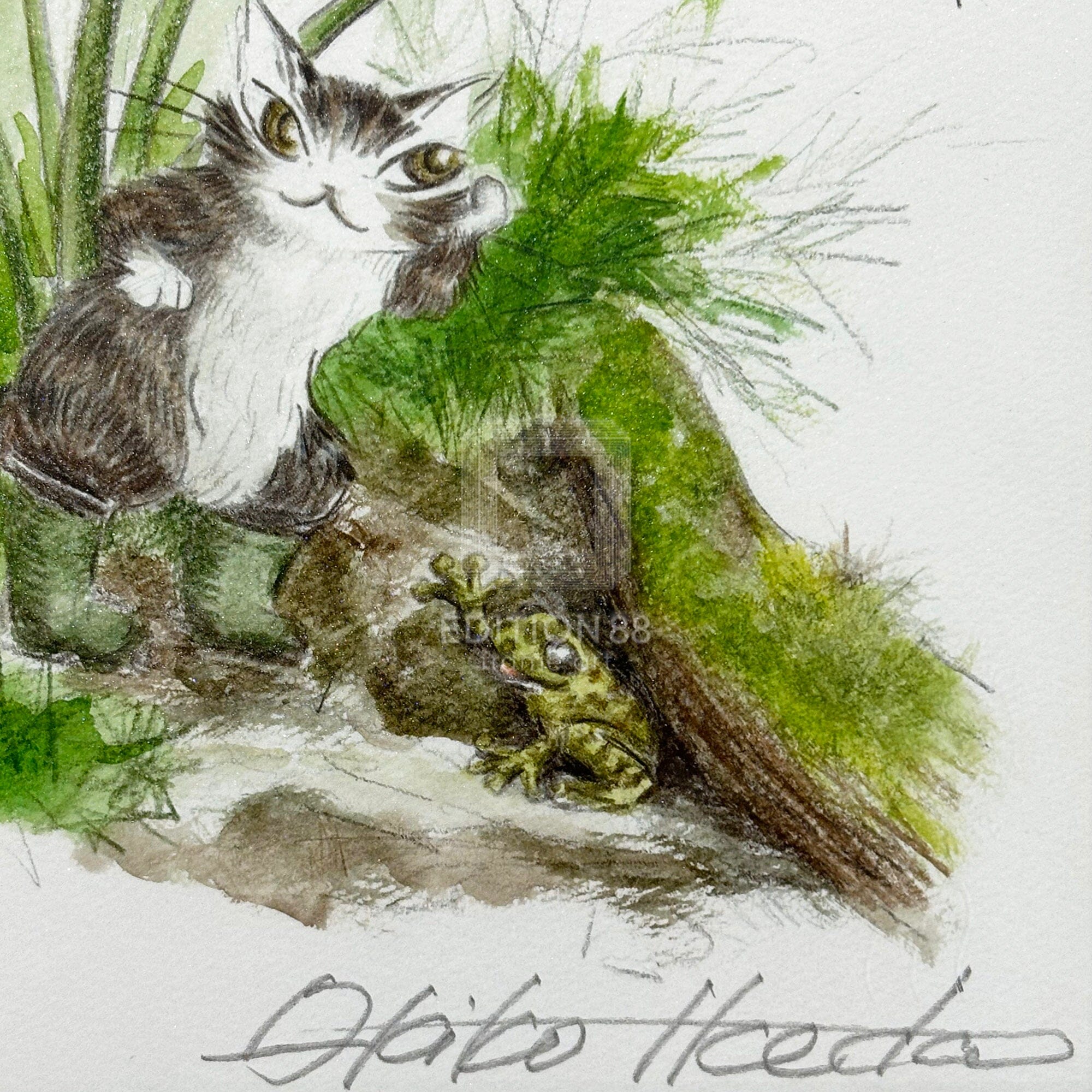 猫のダヤン 88グラフ「ヤンバルのカエル」/池田あきこ（直筆サイン入り