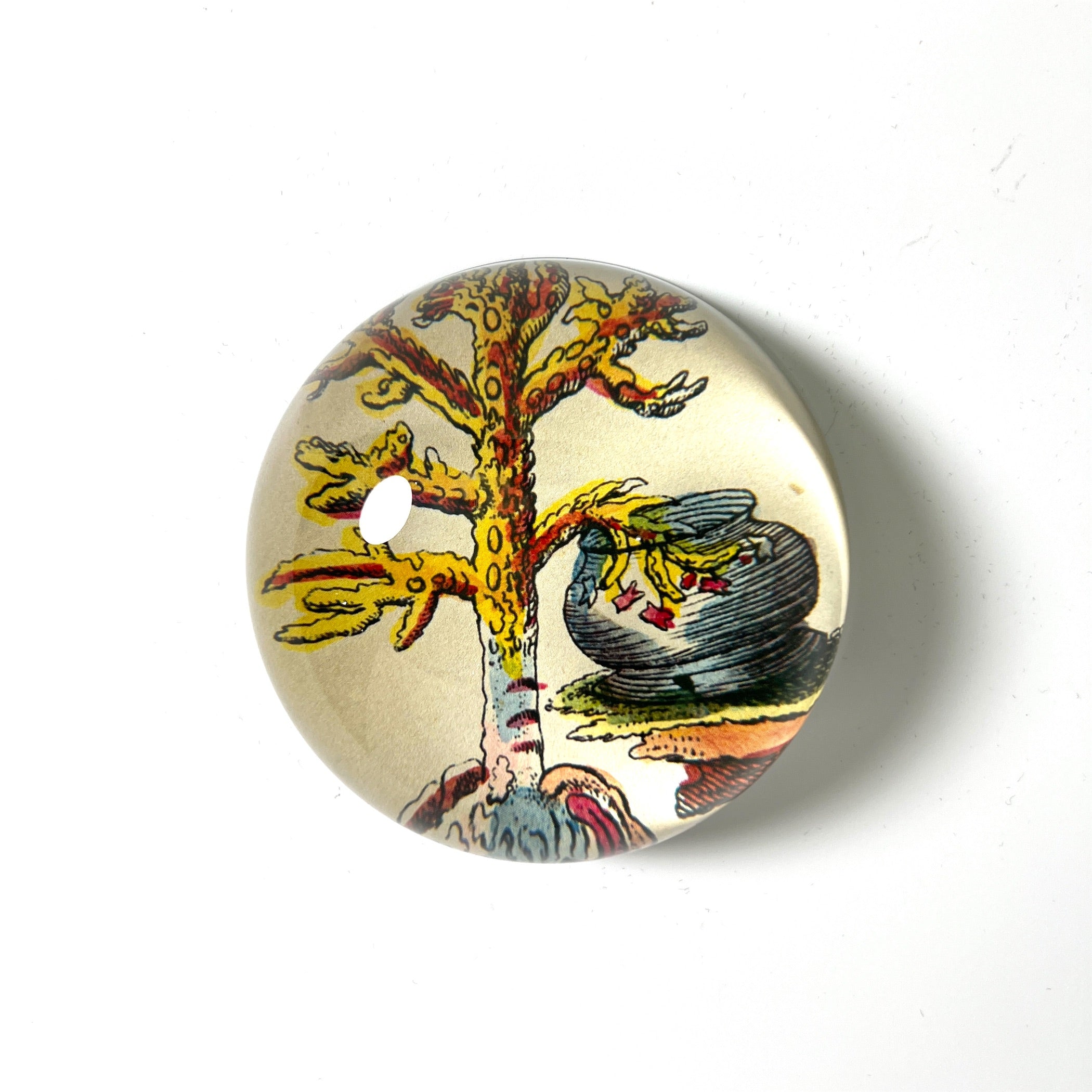 JOHN DERIAN】デコパージュペーパーウェイト Sea Plant 356 | フィール