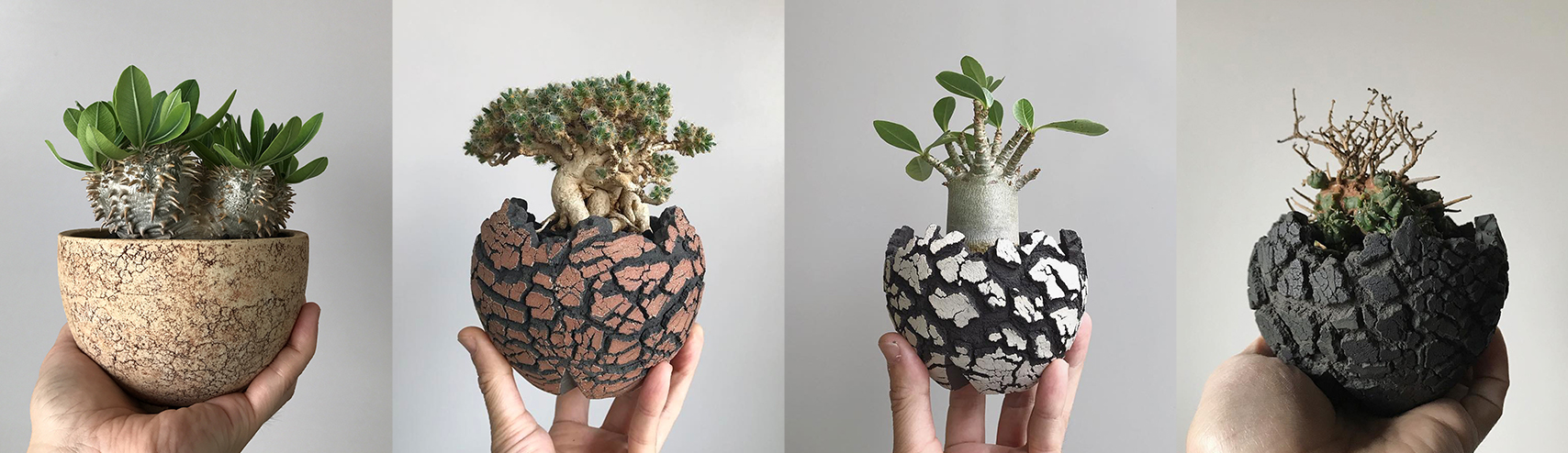 Land Tex - konect.tokyo