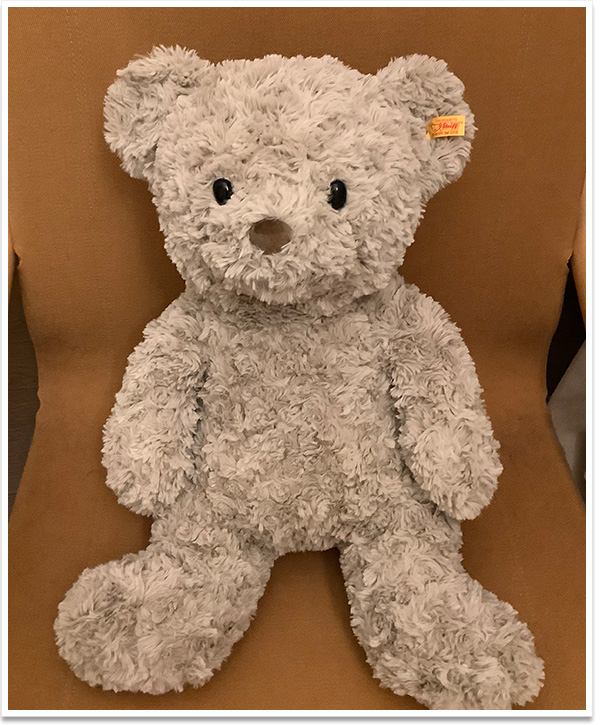 シュタイフ テディベア シンクレア 36cm EAN036262