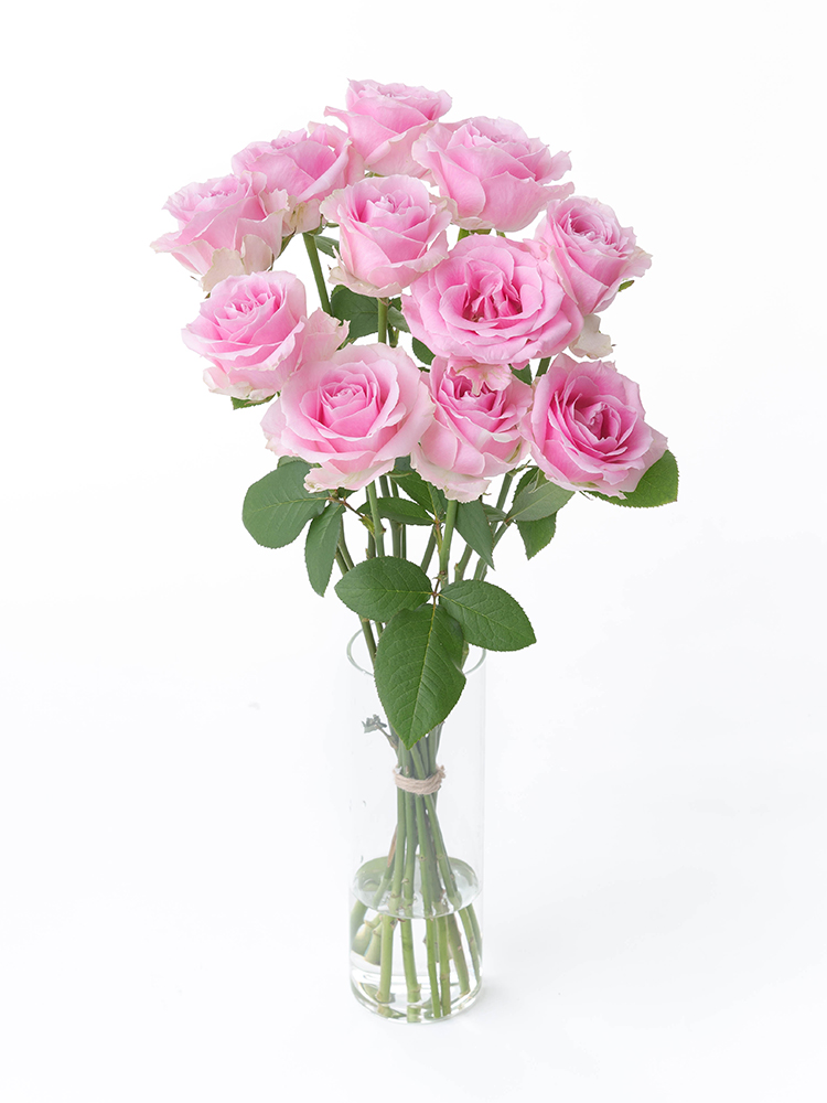 生花】バラ(ピンク) 品種おまかせ【60cm/愛知県】｜Flower Smith