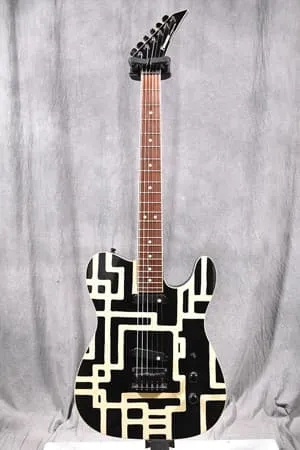 FERNANDES Limited Edition TOMOYASU HOTEI ブラックライン 布袋寅泰