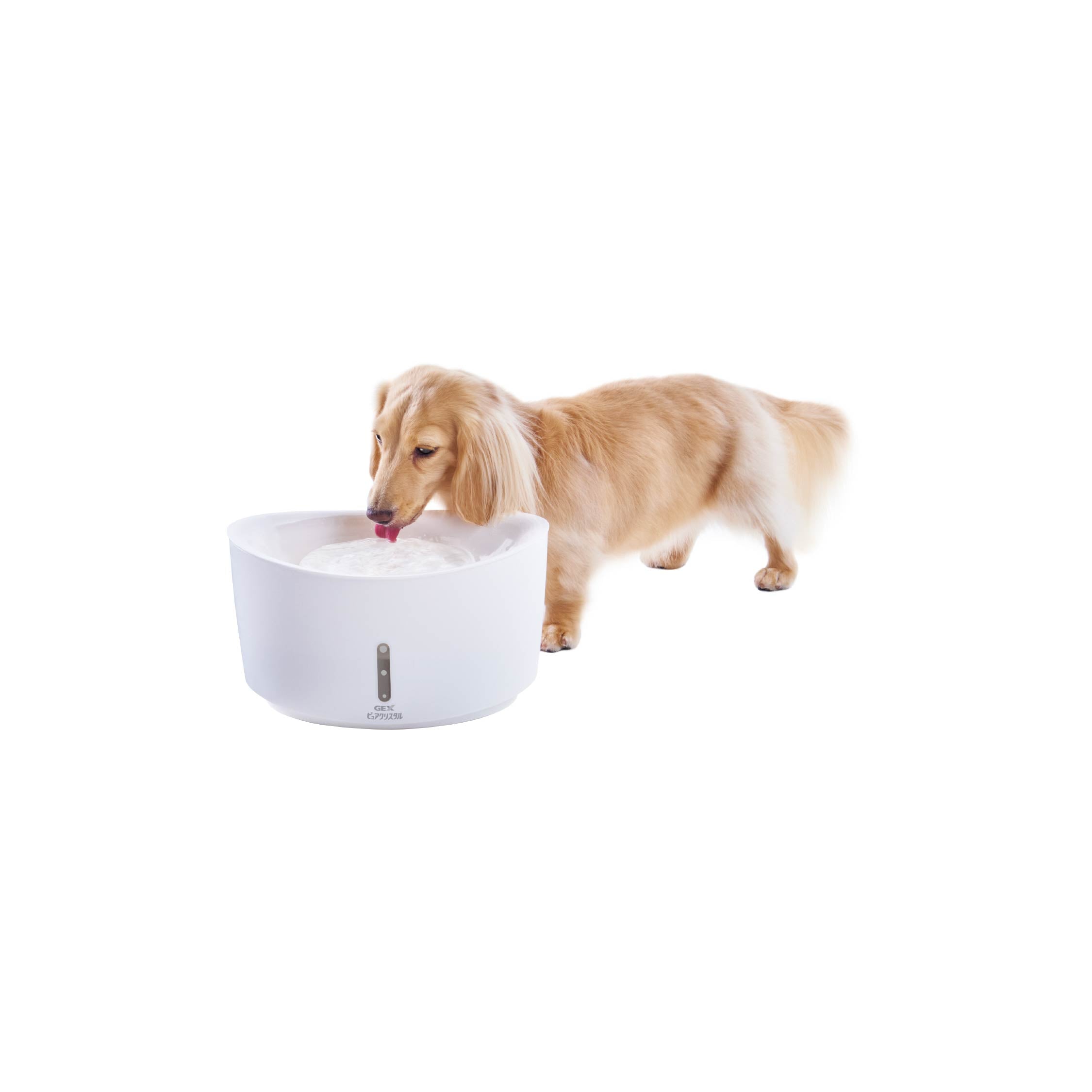 アウトレット】ピュアクリスタル 2.5L犬用 ホワイト｜G-PET Online
