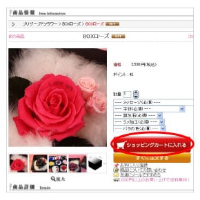 チランジア パチャラロージーチャーム ロージーチャーム ヤフー店