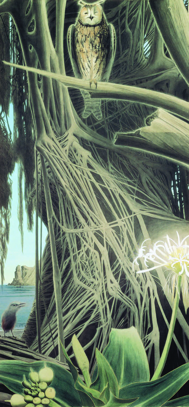 奄美の地で名画を生み出した清貧の画家・田中一村と、その目がとらえた