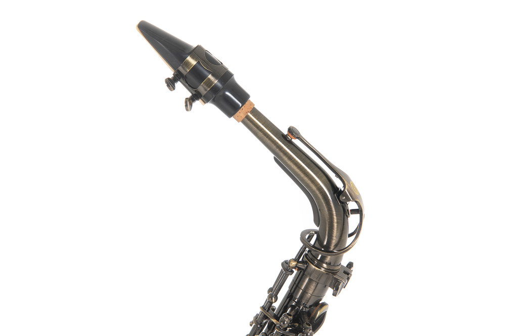 Roy Benson Eb-Alto Saxophone AS-202A