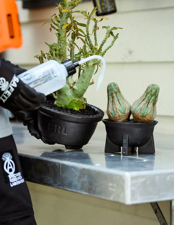 NEIGHBORHOOD × つかもとSRL . SPACE/CE-POT NEIGHBORHOOD × つかもと