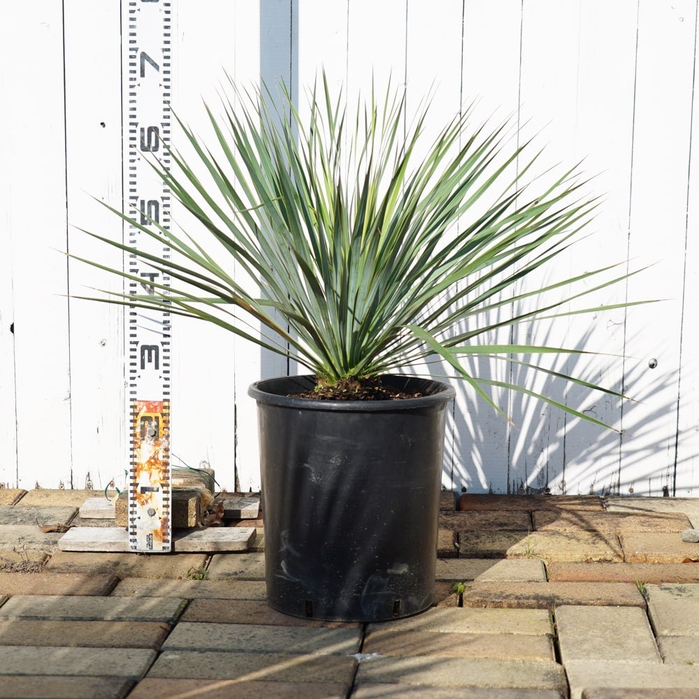 000000067289-05.jpg?size=l&w=