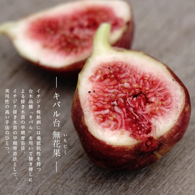 000000035469-02.jpg?size=l&w=