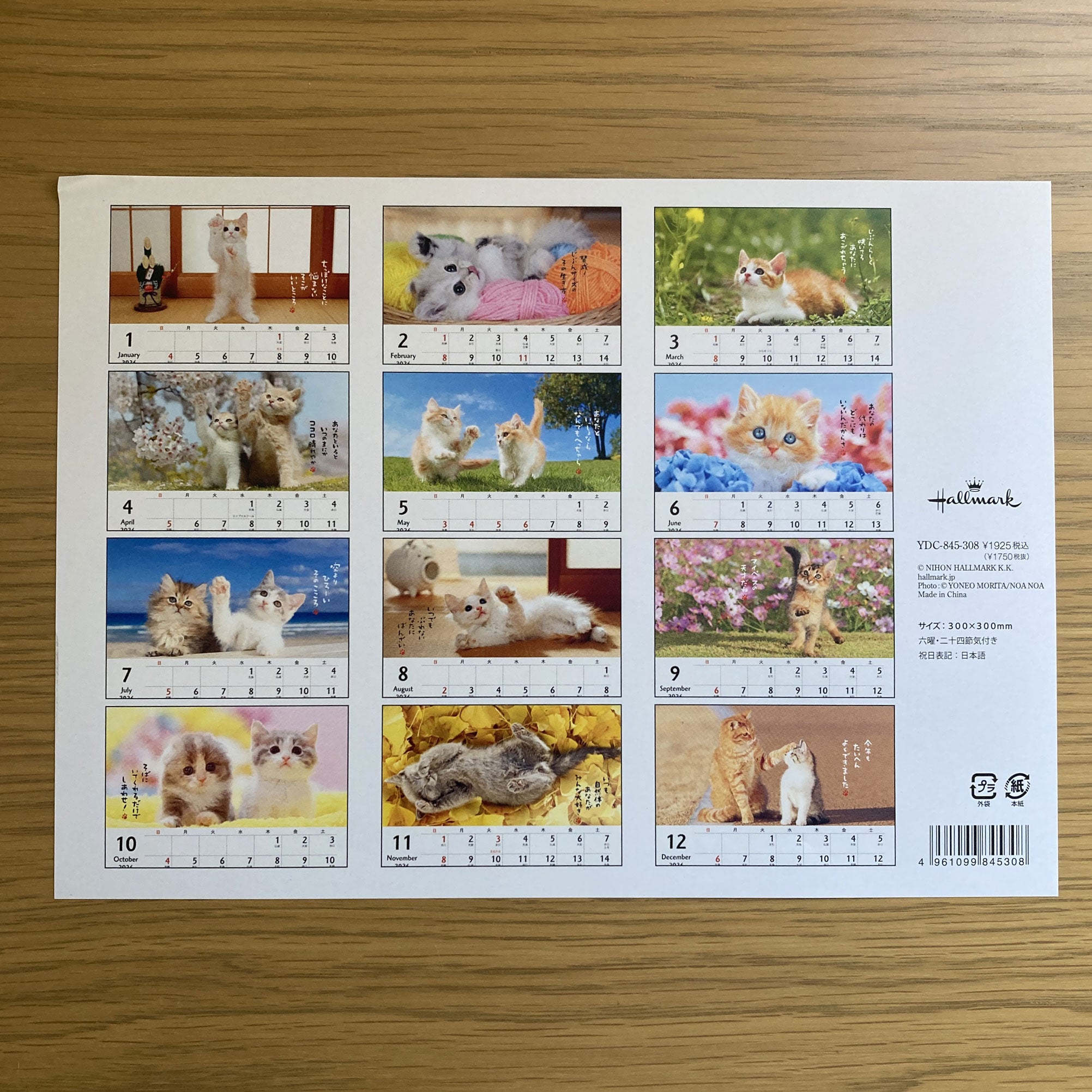 845308_10.jpg?v=1753682938&