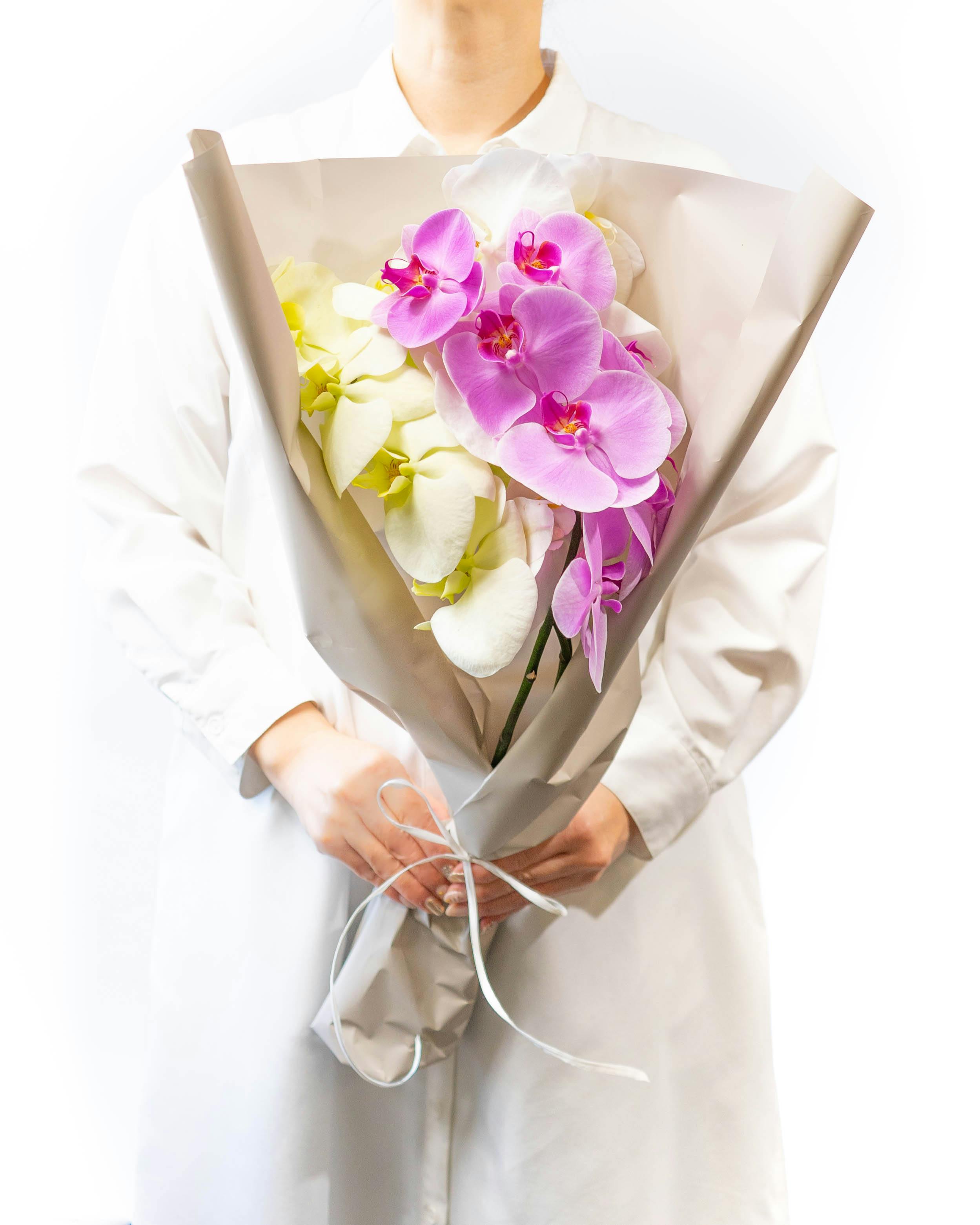 ミックス色の胡蝶蘭の通販 | HitoHana（ひとはな）