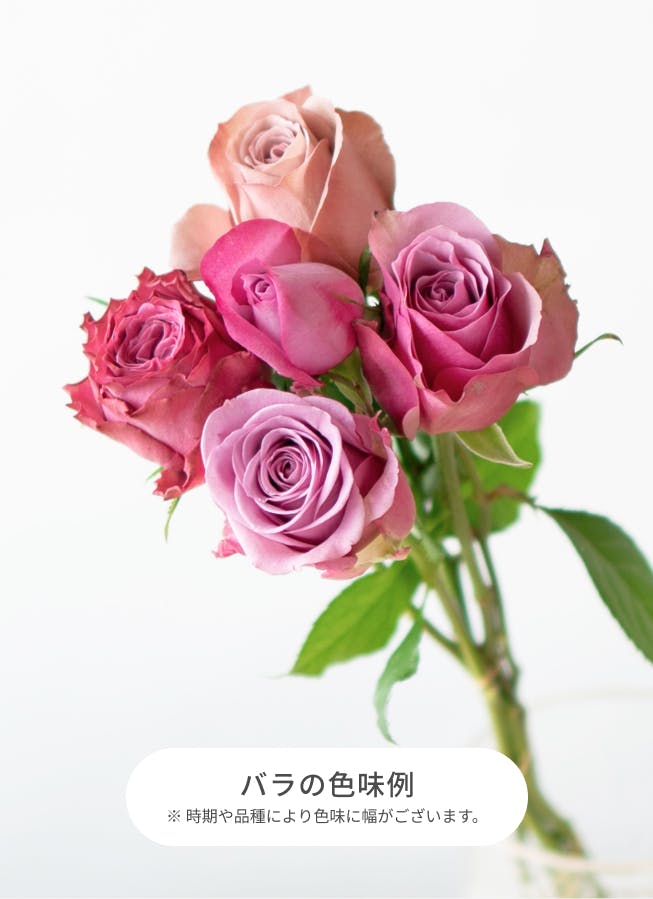 バラ 50本ブーケ パープル | 花束ならHitoHana(ひとはな)