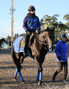 札幌1R・2歳未勝利】シマサンブラックが力強く抜け出してV 蛯名