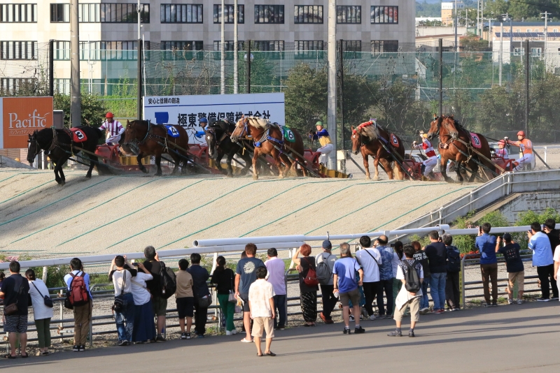 現役9人目、通算1,000勝を達成！「長澤の舞」で人気・長澤幸太騎手