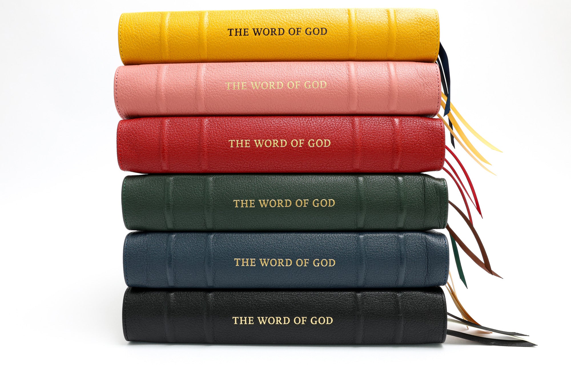 NLT SonRise - Resurrection of Christ Bible – Humble Lamb