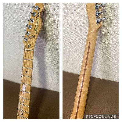 Aria Pro II Thinline TE-500N Backaroo Electric Guitar W/Hard Case