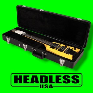 Steinberger Case | eBay