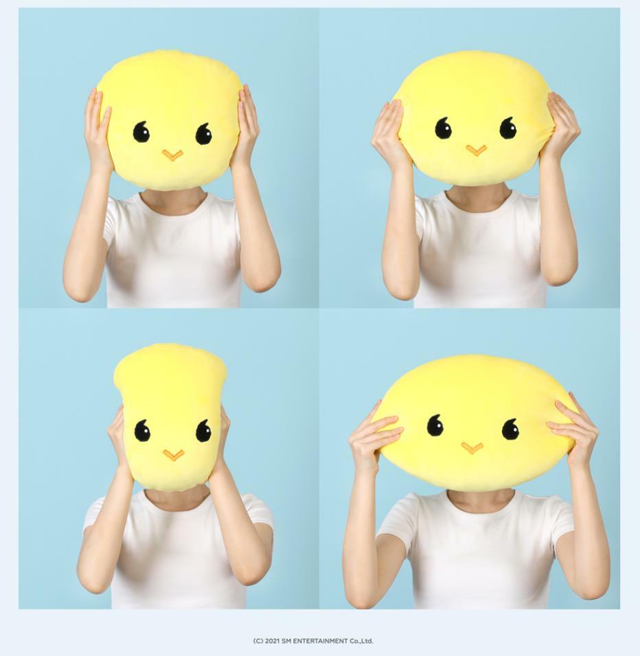 TAEMIN SHINEE TAEMARI & GGUNG SMTOWN OFFICIAL GOODS CUSHION SEALED