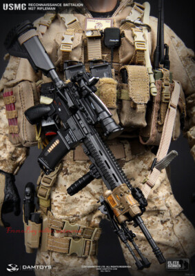 Perfect Damtoys 78014 1/6 Usmc Reconnaissance Battalion M27