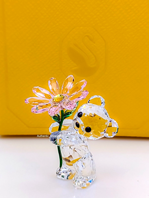 New w Gift Box SWAROVSKI Crystal Kris Bear A Daisy For You Display