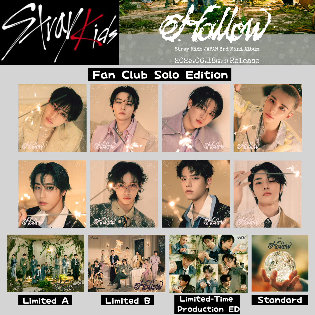 STRAY KIDS JAPAN 3rd MINI ALBUM Hollow FC SOLO Limited CD SEALED