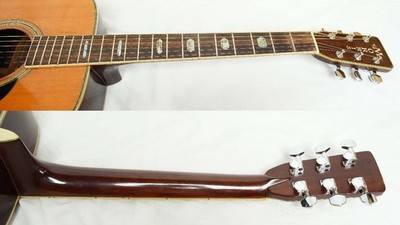 TF MORRIS W-50 Natural 1980s Japan Vintage,Made in Japan Acoustic