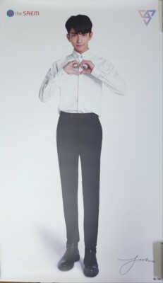 SEVENTEEN X THE SAEM LIMITED POSTER EACH MEMBER | eBay