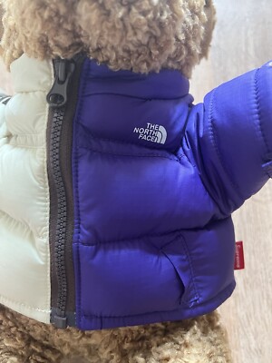 Supreme The North Face Bear- Tan | eBay