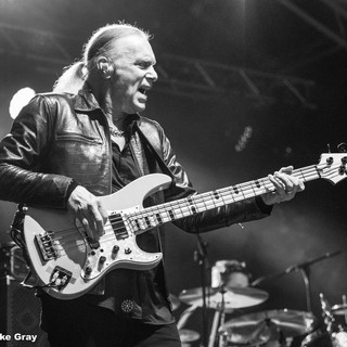 Billy Sheehan | Spotify