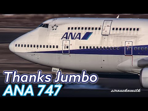 Thanks Jumbo | ANA All Nippon Airways Boeing 747-400(D) Memorial