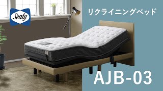 定価3万円！全自動足付きエアベッド（TOI COMFORT EZ BED） TOI COMFORT
