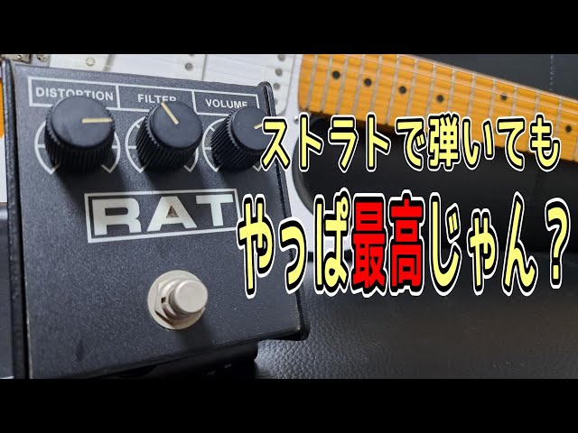 名機降臨！】Proco RAT2 & Vanzandt STV R-1 ～エフェクター試奏