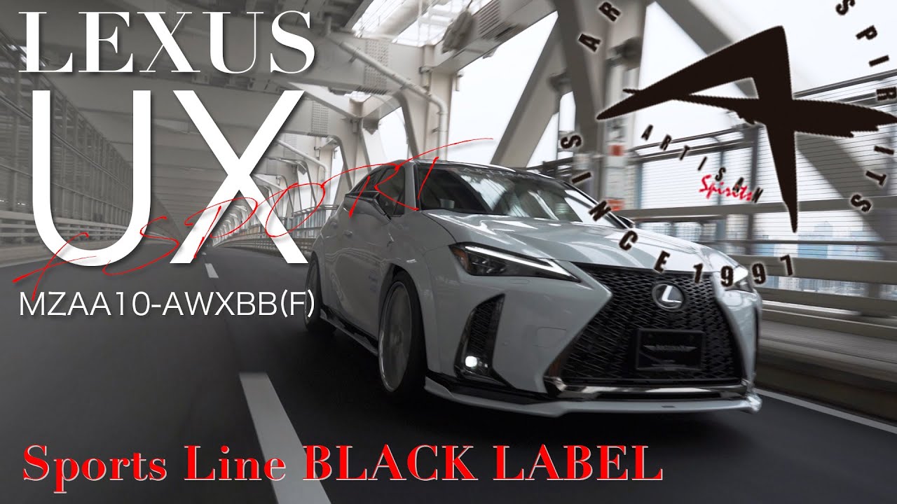 ARTISAN SPIRITS BLACK LABEL【LEXUS UX F SPORT_BODY KIT】 - YouTube