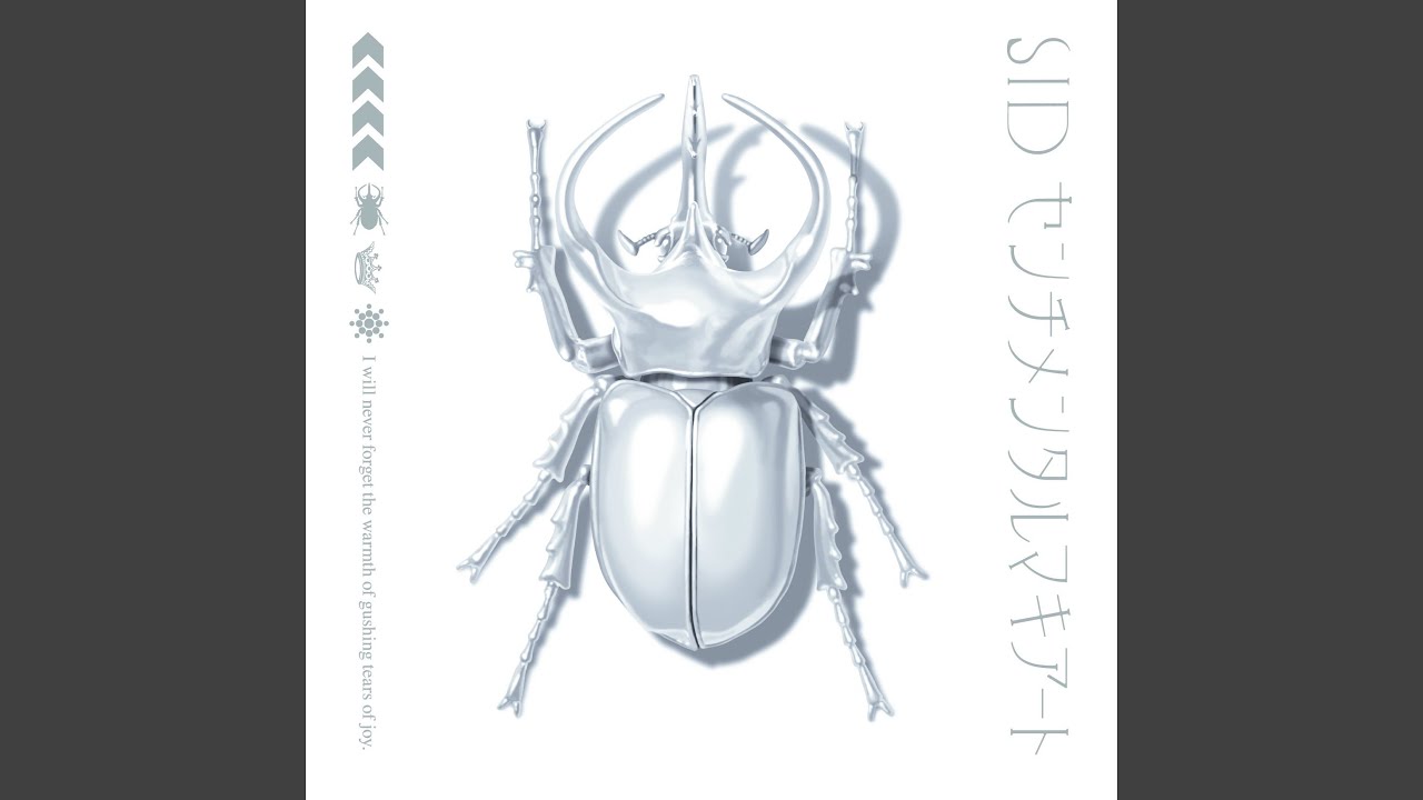 涙の温度 - YouTube